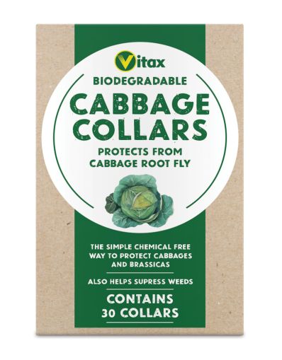 Vitax Biodegradable Cabbage Collars 30 Pack