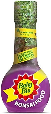 Baby Bio Bonsai Tree Food Concentrate 175ML