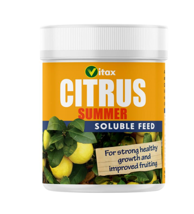 Vitax Citrus Summer Feed 200G