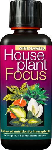 Growth Technology Houseplant Focus Liquid Fertiliser 300ML