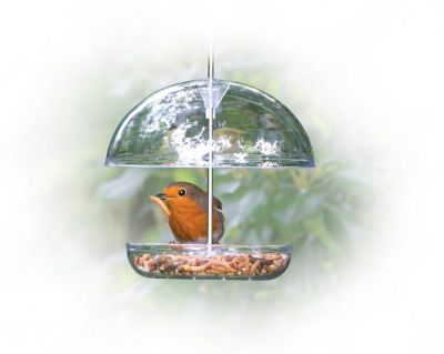 Jacobi Jayne - I love Robins Pearl Feeder
