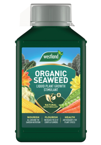 Westland Horticulture Organic Seaweed Plant Growth Stimulant Liquid Plant Food 1L