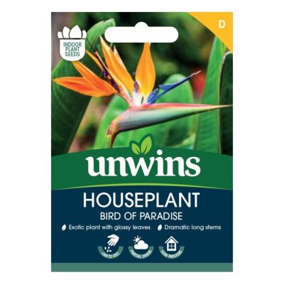 Unwins Houseplant Seeds Bird of Paradise (Strelitzia Reginae) Front Shot