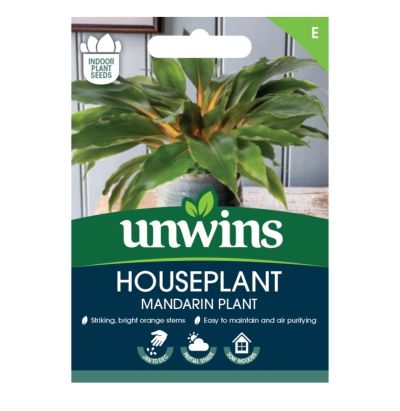 Unwins Houseplant Seeds Mandarin Plant (Chlorophytum Orchidastrum) Front Shot