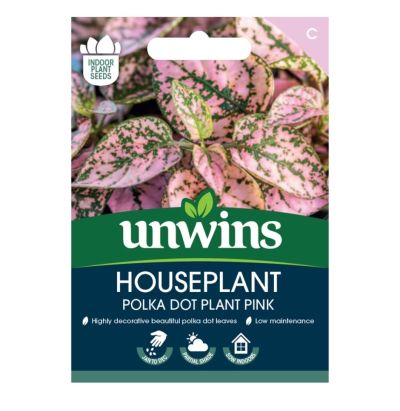 Unwins Houseplant Seeds Polka Dot Plant Pink Front Shot