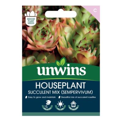 Unwins Houseplant Seeds Succulent Mix (Sempervivum) Front Shot
