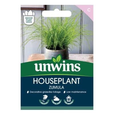 Unwins Houseplant Seeds Zumula Front Shot