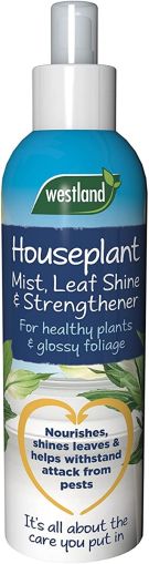 Westland Horticulture Houseplant Mist & Leaf Shine Plant Food 250ML