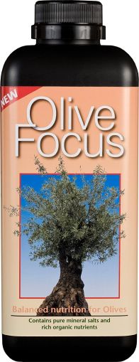 Growth Technology Olive Focus Liquid Fertiliser 1L