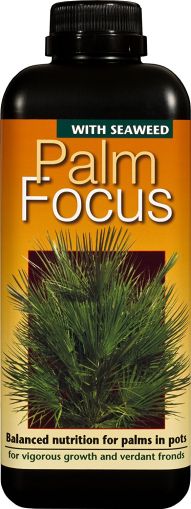 Growth Technology Palm Focus Liquid Fertiliser 1L