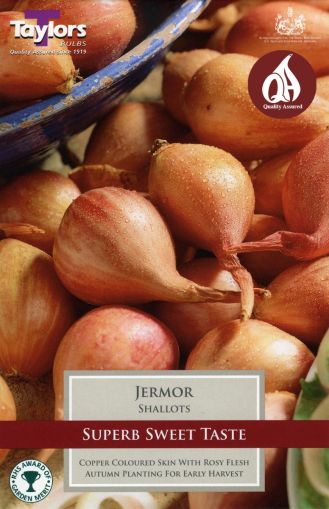 Taylors Bulbs Jermor Shallots Pre-Pack of 8 Sets