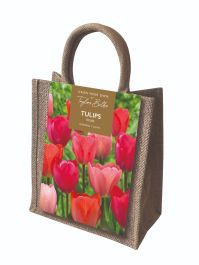 Taylors Bulbs Darwin Tulip Bulbs Jute Gift Bag