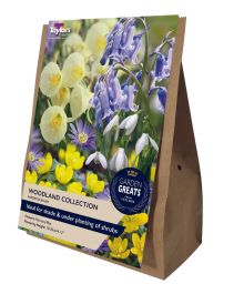 Taylors Bulbs Woodland Collection Pre-Pack of 40 Bulbs