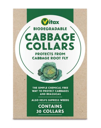 Vitax Biodegradable Cabbage Collars 30 Pack