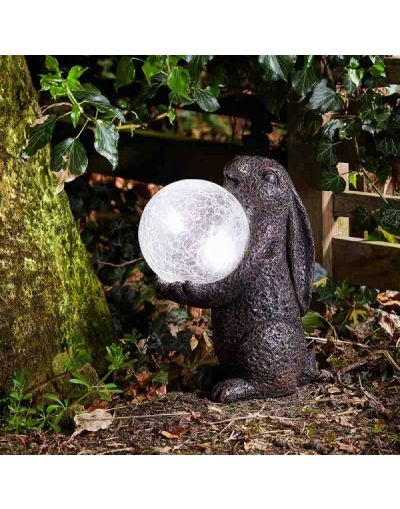 Hare solar light Clearance